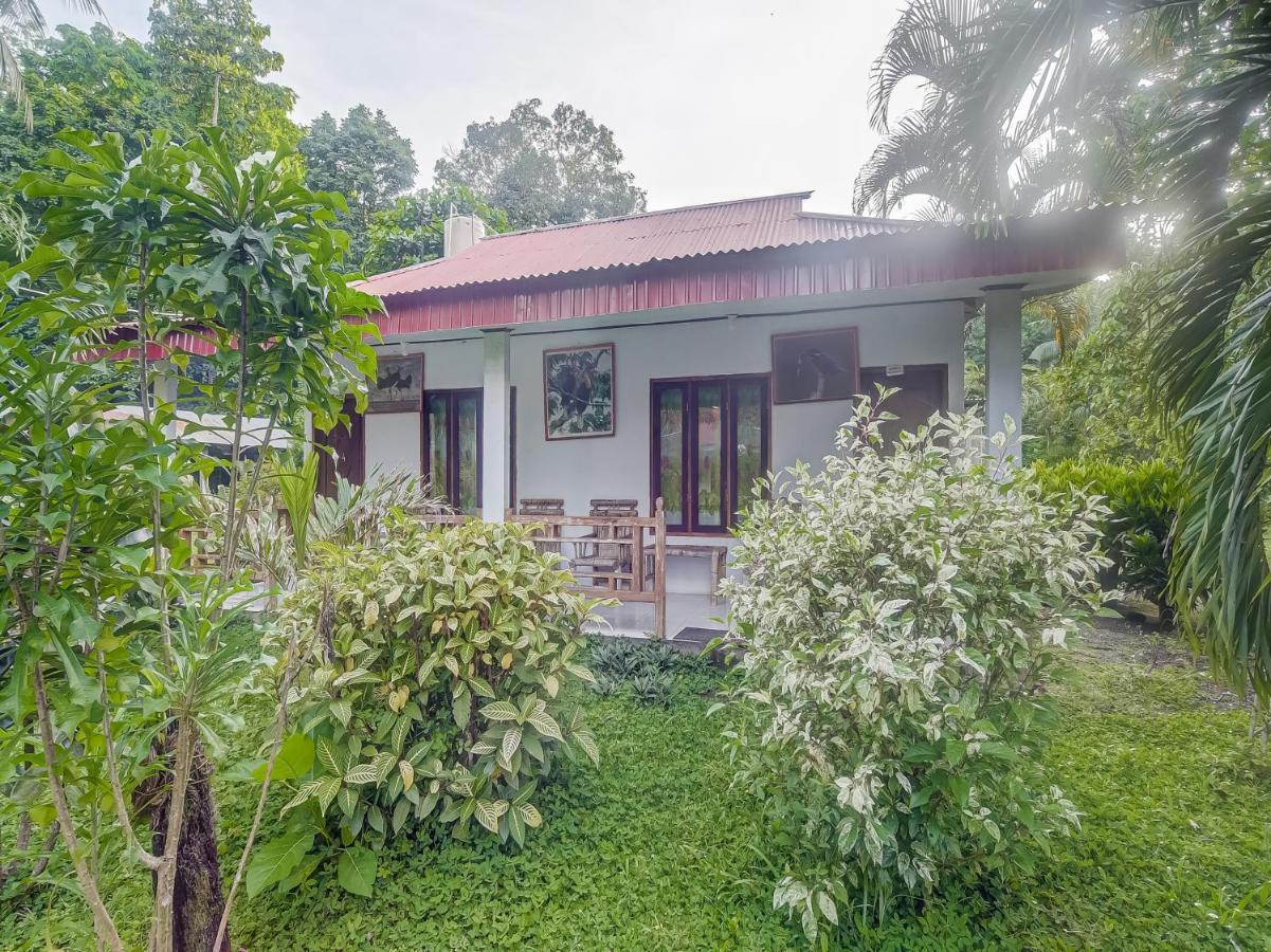 Oyo 90988 Tangkoko Jungle Homestay Rinondoran Extérieur photo