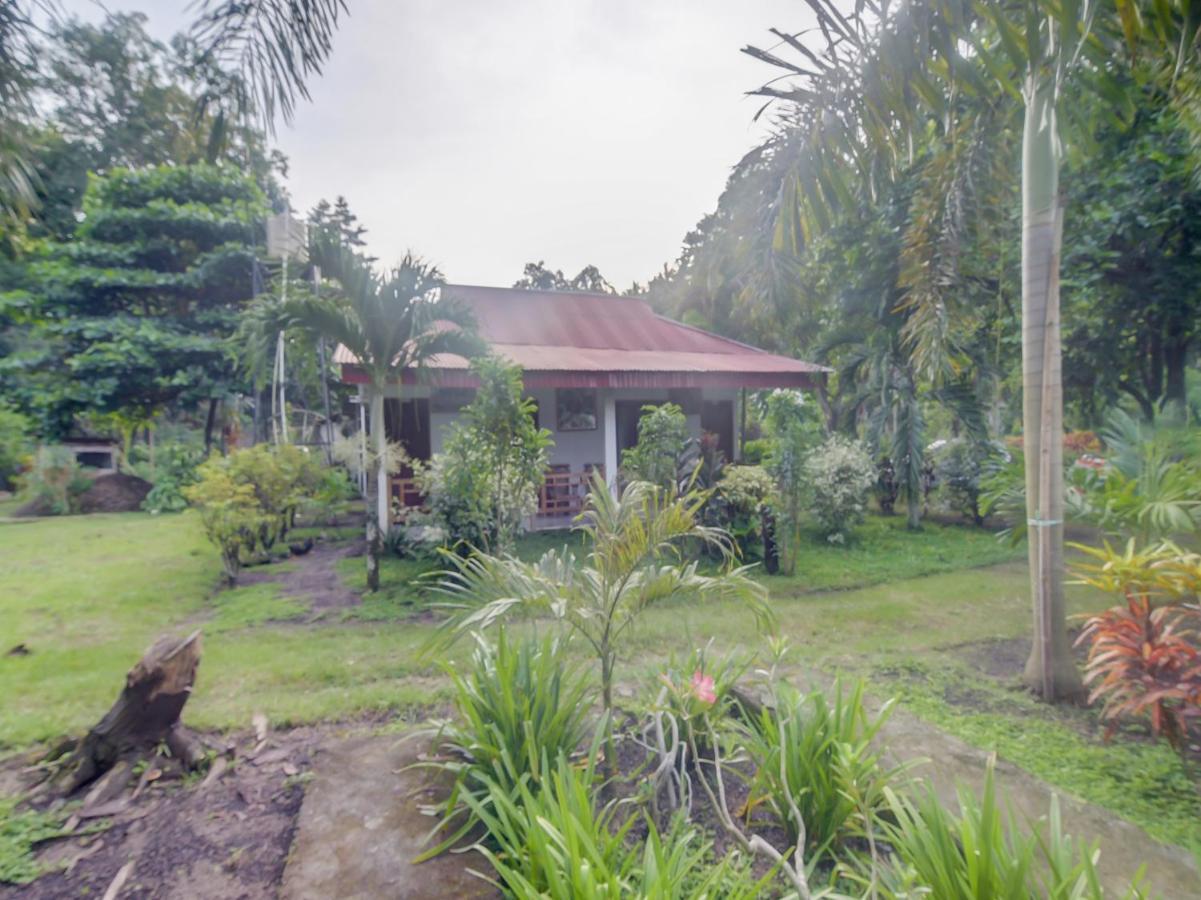 Oyo 90988 Tangkoko Jungle Homestay Rinondoran Extérieur photo
